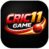 Cric11 Game